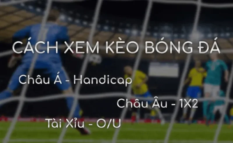 Cách đọc kèo trực tiếp (Live Odds)